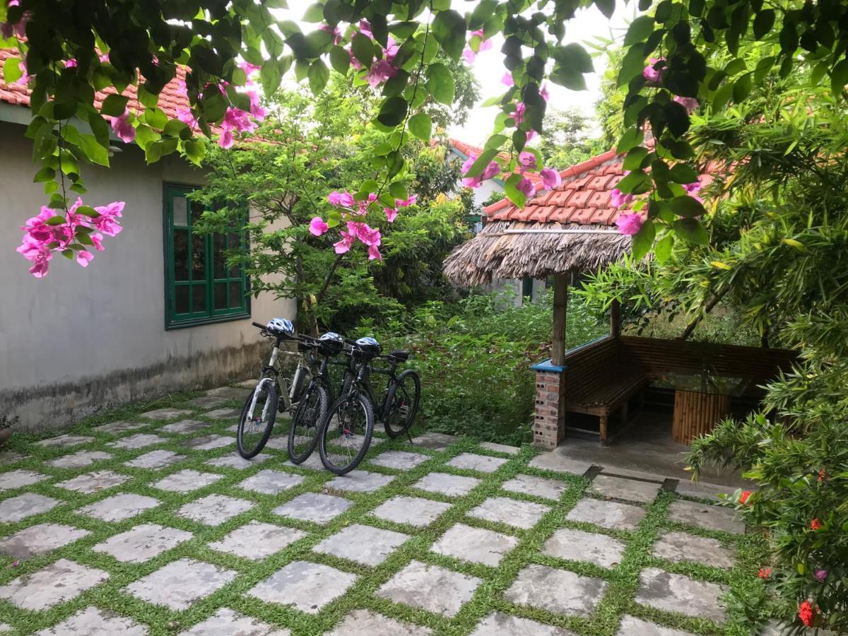 Апартаменти Tam Coc Eco House Ніньбінь Екстер'єр фото