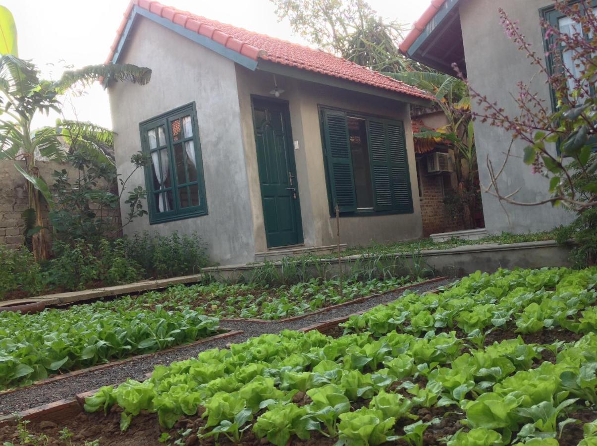 Апартаменти Tam Coc Eco House Ніньбінь Екстер'єр фото